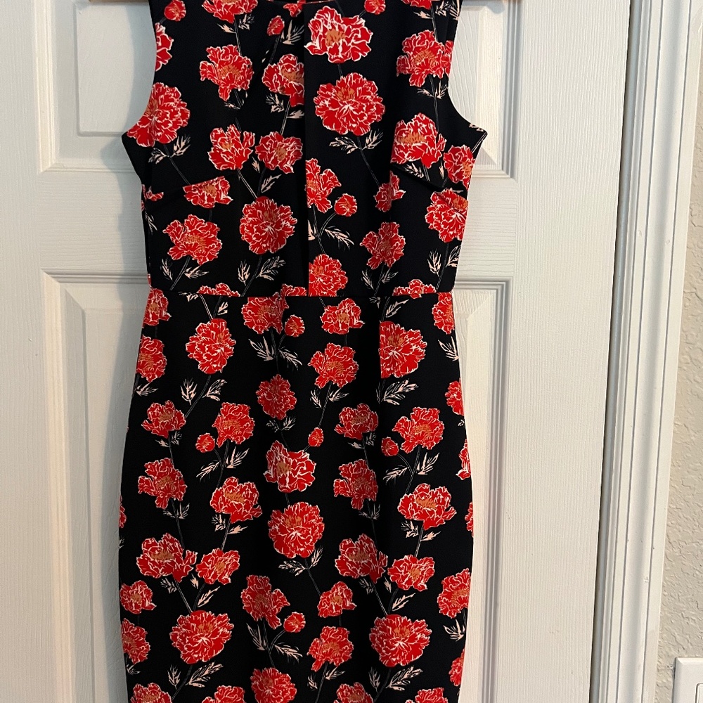 Banana Republic Woman’s dress